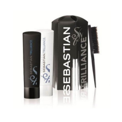 SEBASTIAN PROFESSIONAL